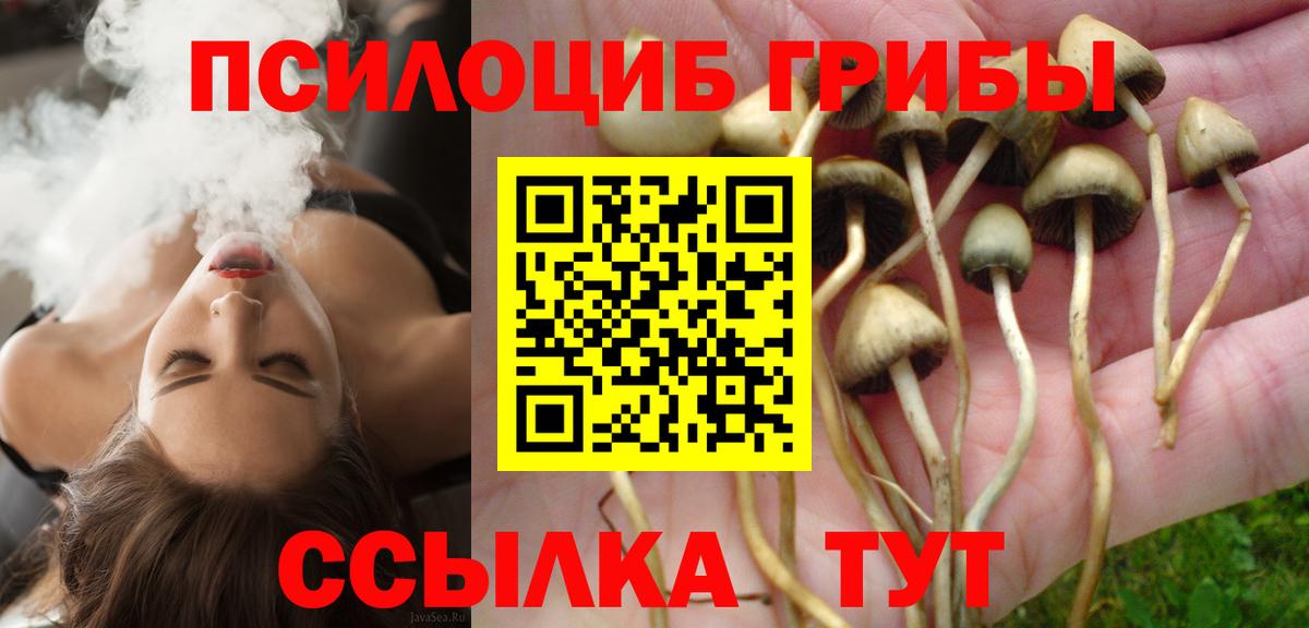 Канабис  А ПВП СК кристаллы  Мефедрон кристаллы  Вход с VPN  Дубна  COCAIN  ЭКСТАЗИ 